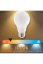 VELAMP OPAL FILAMENT žárovka 8W, E27, 3000K